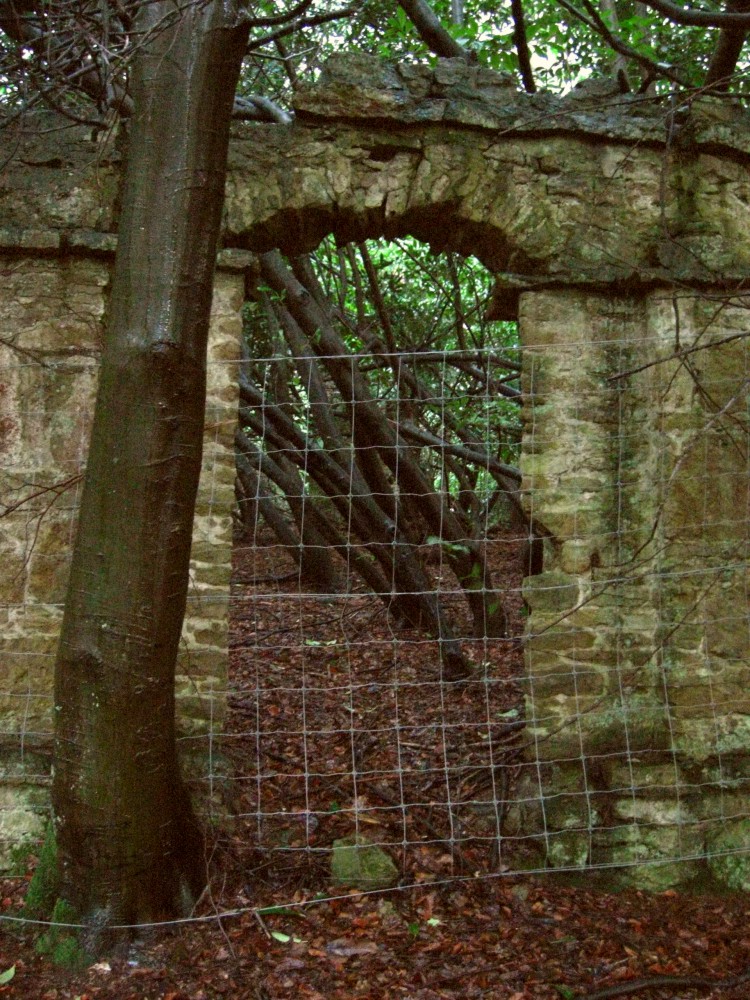 The Wall