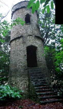 The Tower