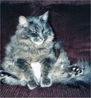 Fat bastard.