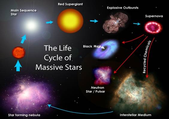 life_cycle