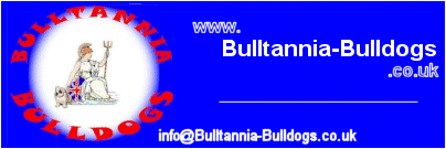 Bulltannia Bulldogs
