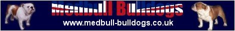 Medbull Bulldogs