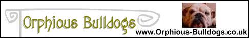 Orphious Bulldogs