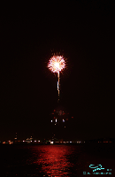 Flower Of July