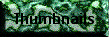 Thumbnails Gallery