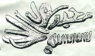 LUNG