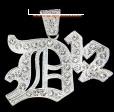 PLATINUM LOOK ICED OUT CHARME 3X2 SIZE WITH FREE36" CHAIN 