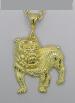 14KT GOLD OVERLAY BULLDOG CHARM.CARVED FROM SOLID BRASS THE SUPERB FINISH IS GUARANTEED FOR LIFETIME AGAINST TARNISHING.COMES WITH FREE CHAIN.SIZE 4"X2 1/2" 