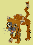 Scampy
