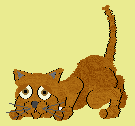 (Boy) 3rd generation cat. Friendly and enjoys a stroke.