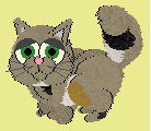 (Girl) Can be grumpy at times, but lovely markings. 3rd generation cat.