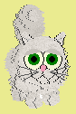 (Girl) Sweet cat and can be shy. Does not get on well with Sparkles (below).