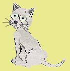 (Girl) Very thin cat. 2nd generation cat. Has big glaring eyes which makes this cat special.