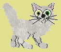 Turkish Angora