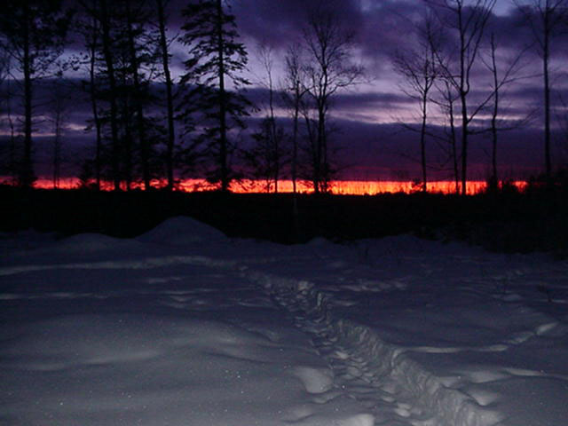010501 backyard