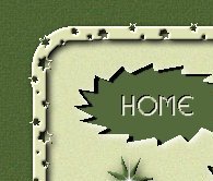homebutton