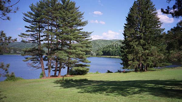 Allegheny State Park, NY
