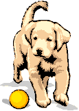 Puppy dog who wants a good home!