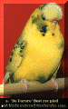 jan2.gif (52091 bytes)