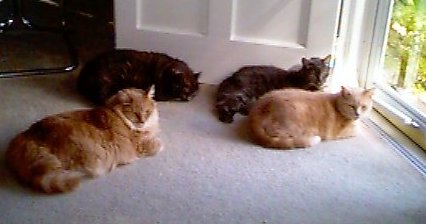 Four on the floor