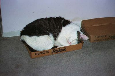 Biffy in the box by the door