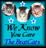 We Know You Care