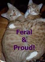 Feral and
Proud