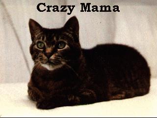 Our Crazy Mama's Picture