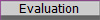	Evaluation