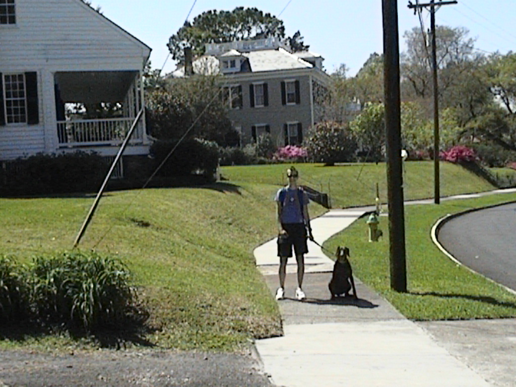 blending in with the Stepford Wives of St. Francisville