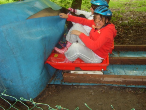 Picture of sledding