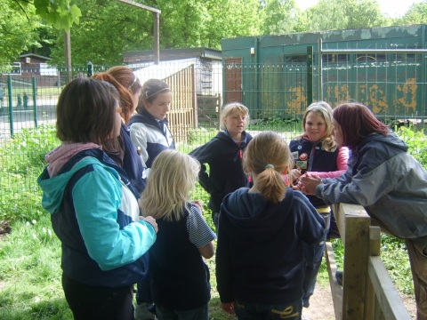 Picture of archery