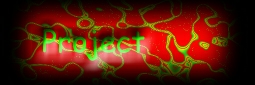 my project