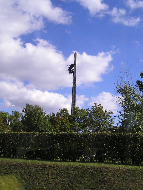 image10