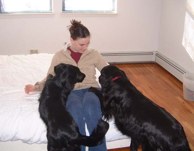 Verity, Polly and Sadie