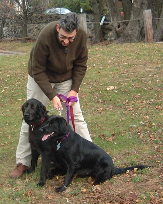 Steven and Dogs