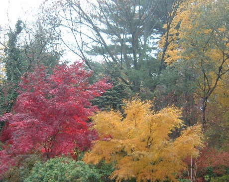 fall