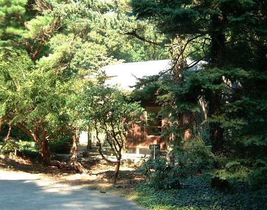 no trees