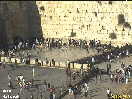MURO1.gif (13643 bytes)