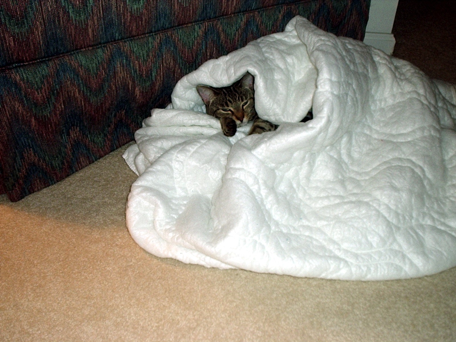 Mia in Bed