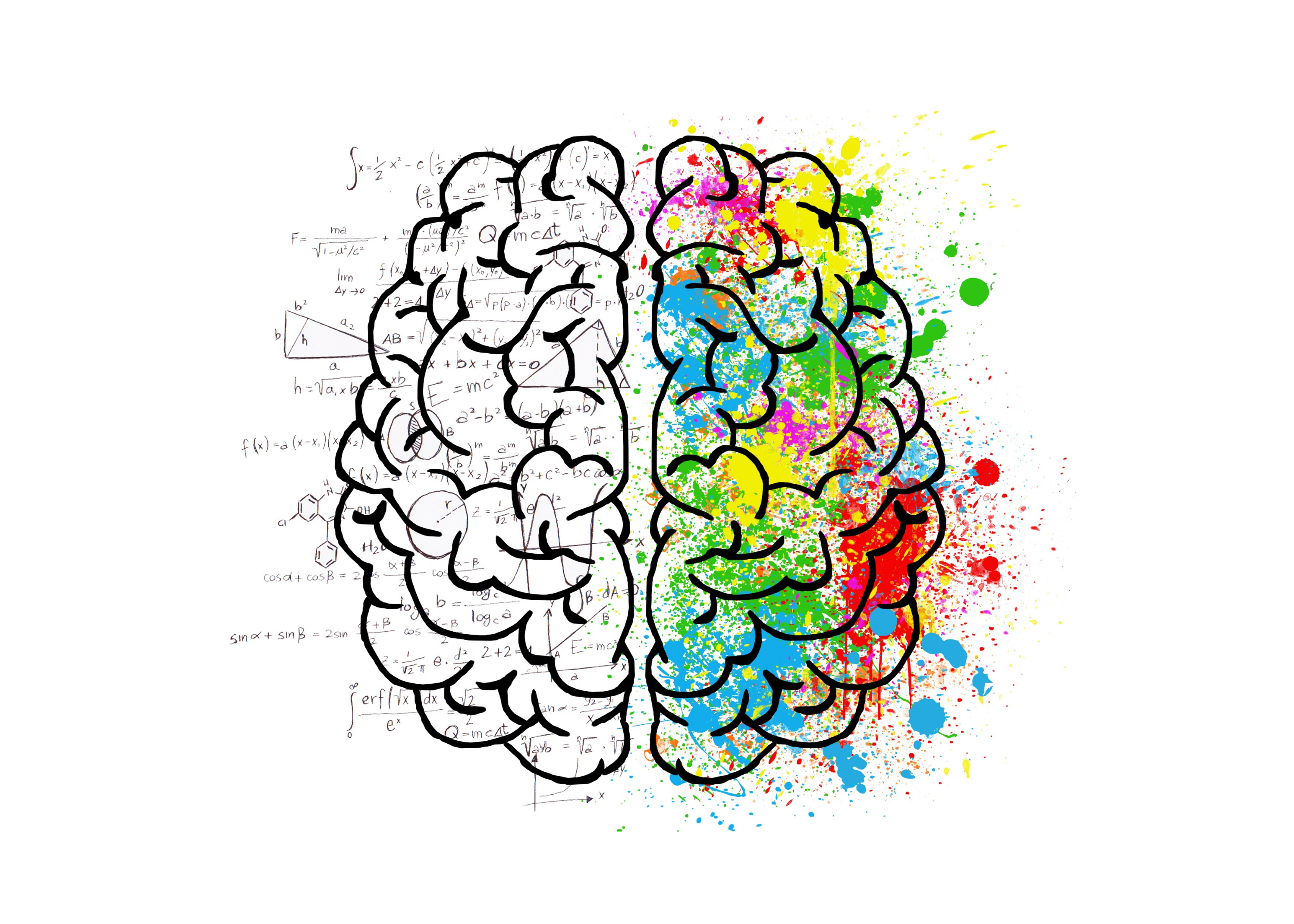 brain