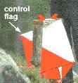 control flag