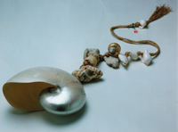 Silver Wishes