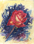 Kissing Rose&nbsp;&nbsp;&nbsp; $800.00