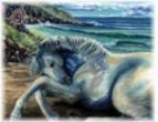 Sharing The Beach&nbsp;&nbsp;&nbsp;&nbsp;&nbsp;&nbsp;&nbsp;&nbsp; SOLD