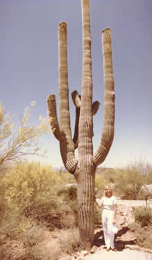 sahuaro