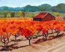 vineyard