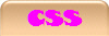 CSS
