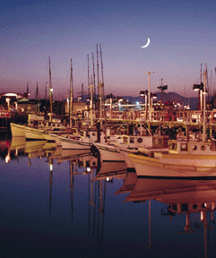 Marina at Sausalito