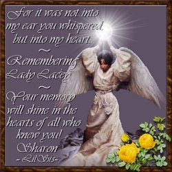 ~In Memory of Lady Lacey~